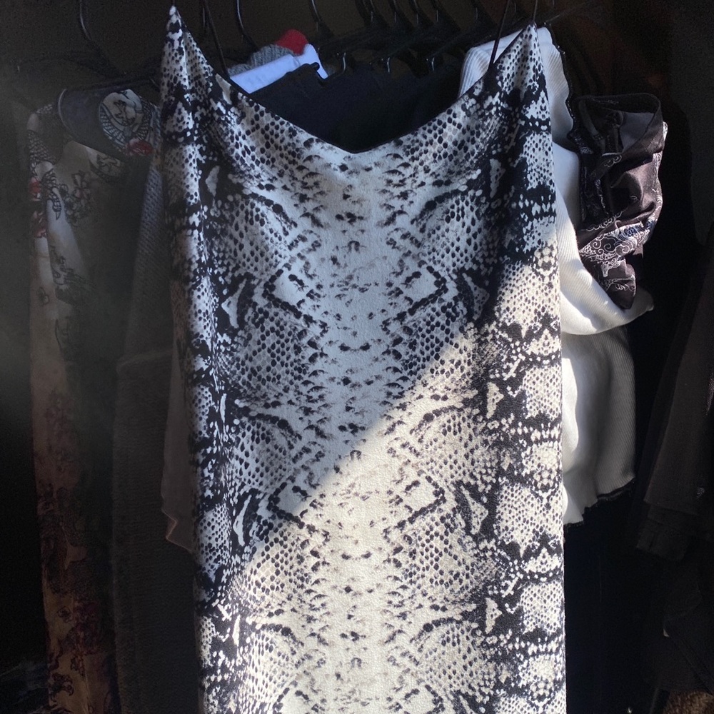snakeskin